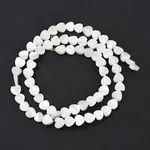 Natural Trochid Shell/Trochus Shell Beads Strands