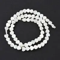 Natural Trochid Shell/Trochus Shell Beads Strands
