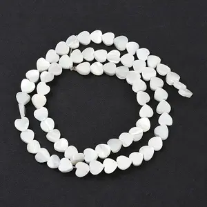 Natural Trochid Shell/Trochus Shell Beads Strands