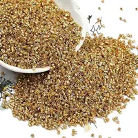 Electroplate Glass Seed Beads