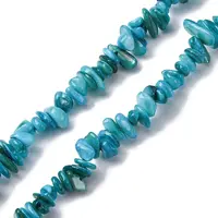 Natural Freshwater Shell Beads Strands