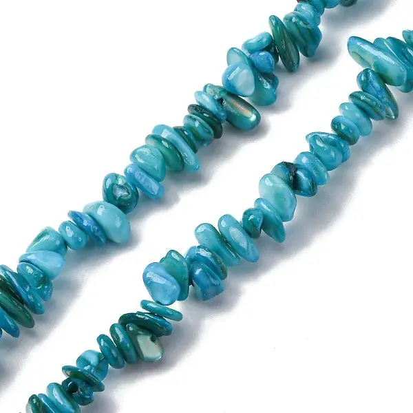 Natural Freshwater Shell Beads Strands