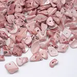 Dyed Natural Freshwater Shell Chips Beads
