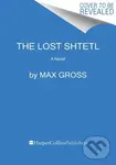 The Lost Shtetl (A Novel) - Max Gross