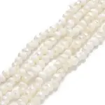 Natural Cultured Freshwater Pearl Beads Strands