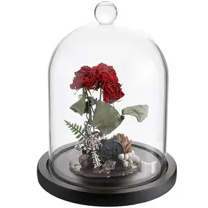 1Pc Glass Dome Cover