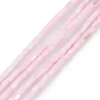 Natural Freshwater Shell Dyed Beads Strands