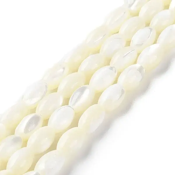 Natural Trochus Shell Beads Strands