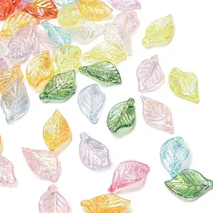 Transparent Acrylic Pendants