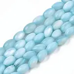 Natural Freshwater Shell Beads Strands