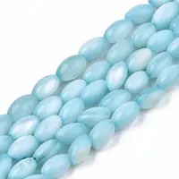 Natural Freshwater Shell Beads Strands