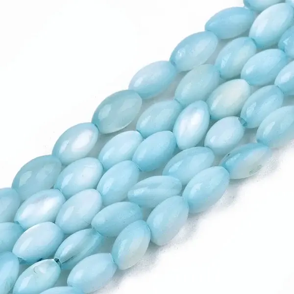 Natural Freshwater Shell Beads Strands