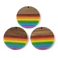 Pride Rainbow Theme Resin & Walnut Wood Pendants