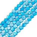 Natural Freshwater Shell Dyed Beads Strands