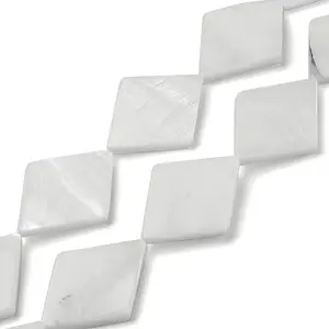 Natural Freshwater Shell Beads Strands