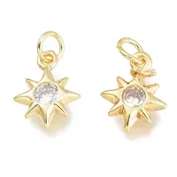 Brass Micro Pave Clear Cubic Zirconia Charms
