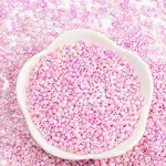 Baking Paint 12/0 Glass Seed Beads