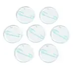 Transparent Resin Pendants