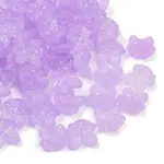 Frosted Transparent Acrylic Beads