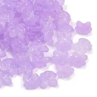 Frosted Transparent Acrylic Beads