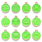 Alloy Enamel Pendants