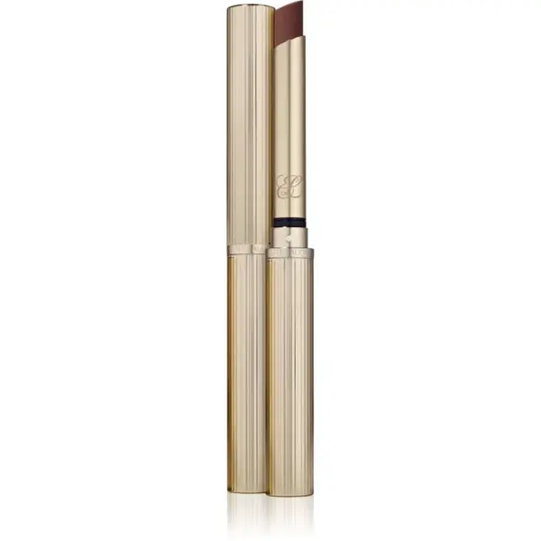 Estée Lauder Pure Color Explicit Matte Lipstick matná rtěnka odstín Smokescreen 1.8 g