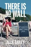There is No Wall - Allie Bailey