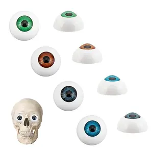 1Set Craft Eyes