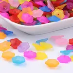 Transparent Acrylic Beads