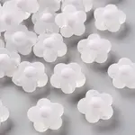 Transparent Acrylic Beads