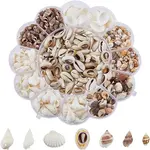 7 Styles Natural Shell Beads Sets
