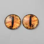 Mixed Animal Eye Pattern Glass Cabochons