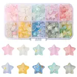 300Pcs 10 Colors Frosted Acrylic Charms
