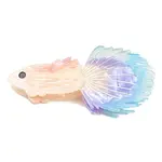 Cellulose Acetate(Resin) Claw Hair Clips