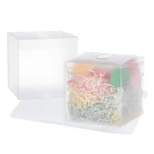 Transparent Plastic Boxes