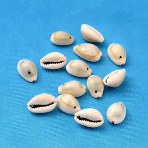 Natural Cowrie Shell Beads