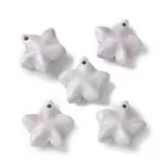 Natural Rainbow Alashan Agate Charms