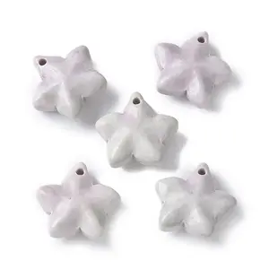 Natural Rainbow Alashan Agate Charms