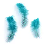 Chicken Feather Costume Accessories