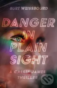 Danger in Plain Sight - Burt Weissbourd