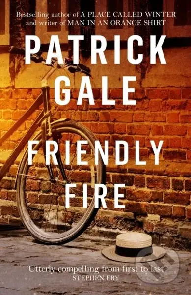 Friendly Fire (A warm, compelling novel of adolescence and young love) - kniha z kategorie Společenská beletrie