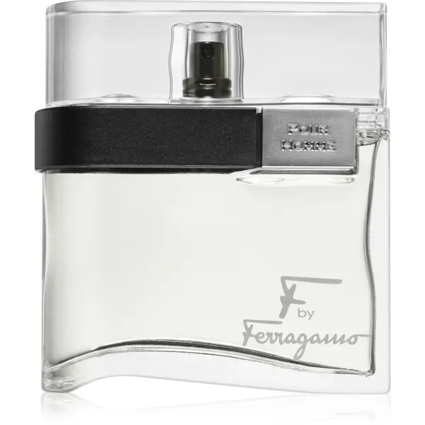 Ferragamo F by Ferragamo toaletní voda pro muže 100 ml