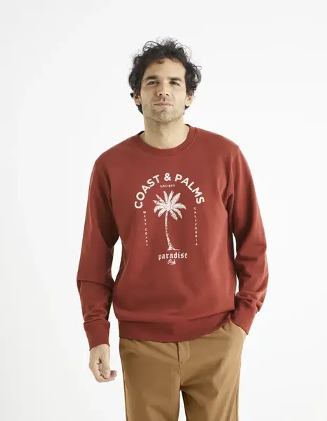 Celio Begrif Printed Sweatshirt - Men's