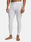 Under Armour pánské legíny
