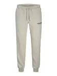 Jack & Jones Junior Nohavice 'Gordon'  sivá