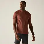 Pánské tričko regatta fingal editon hnědá  m