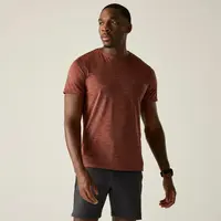 Pánské tričko regatta fingal editon hnědá  m