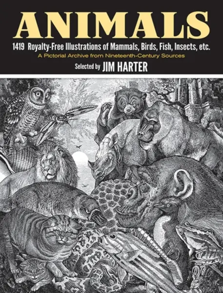 Animals - Jim Harter
