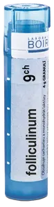 BOIRON Folliculinum CH9 granule 4 g