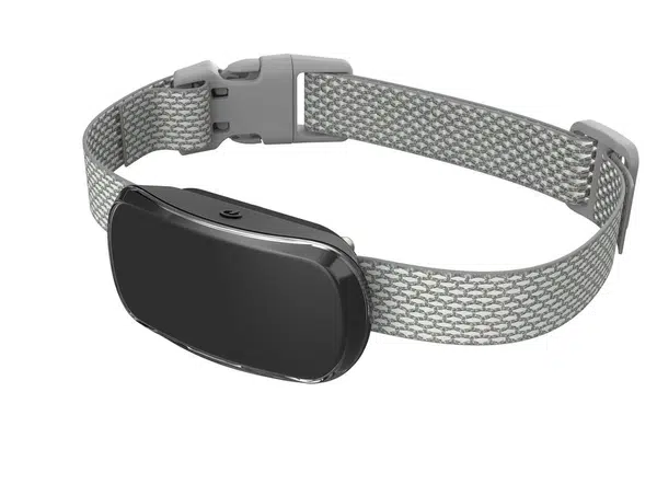 Reedog TC-005 | Protištekací obojok - čierna